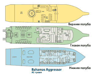    Bahamas Aggressor