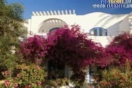 Городок Club Med Djerba La Douce, Тунис
