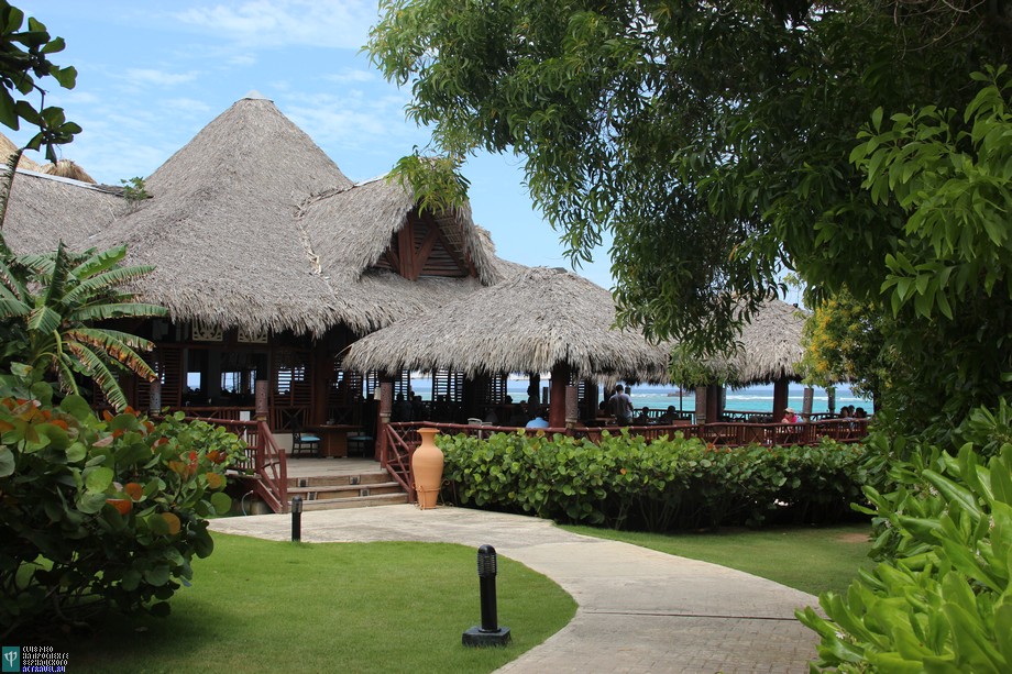  Club Med Punta Cana