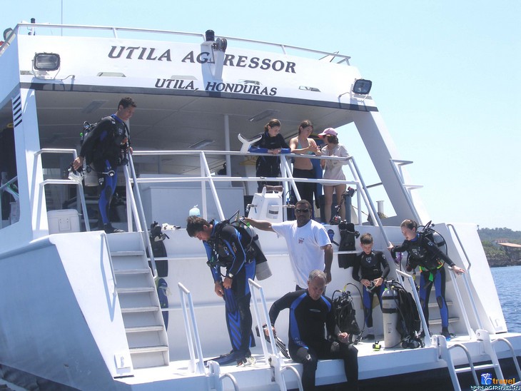 Дайв-палуба яхты Utila Aggressor