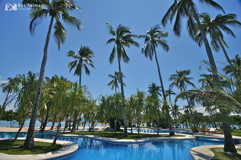  Dos Palmas Island Resort & Spa, 