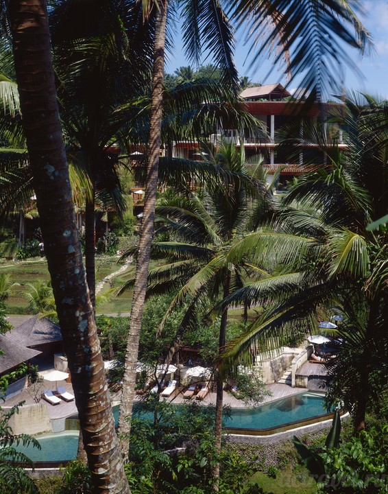    Four Seasons Resort Bali at Sayan