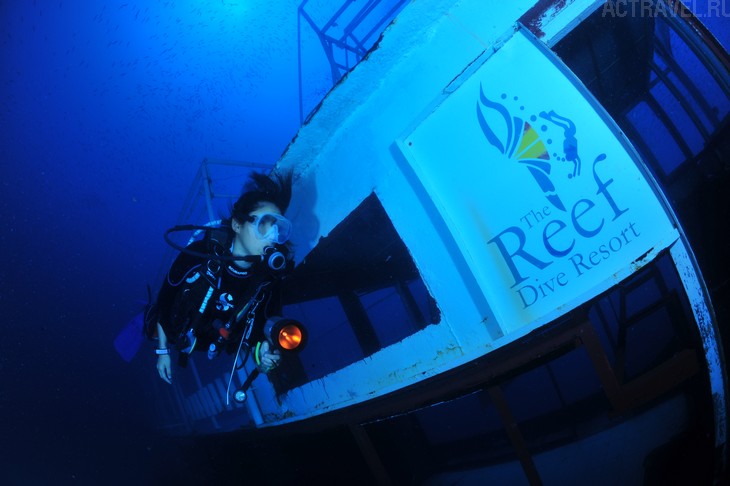   -   .  Mataking The Reef Dive Resort,  ,  , 