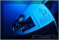   -   .  Mataking The Reef Dive Resort,  ,  , 