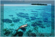  Mataking The Reef Dive Resort,  ,  , 