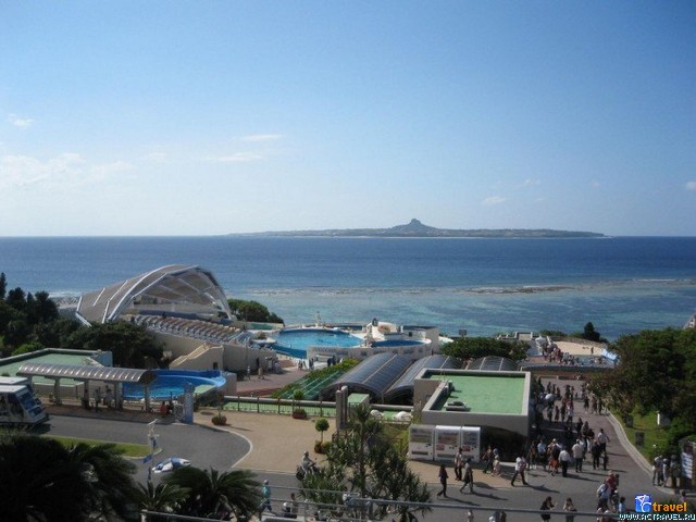    Ocean Expo Commemorative National Government Park   Okinawa Churaumi Aquarium