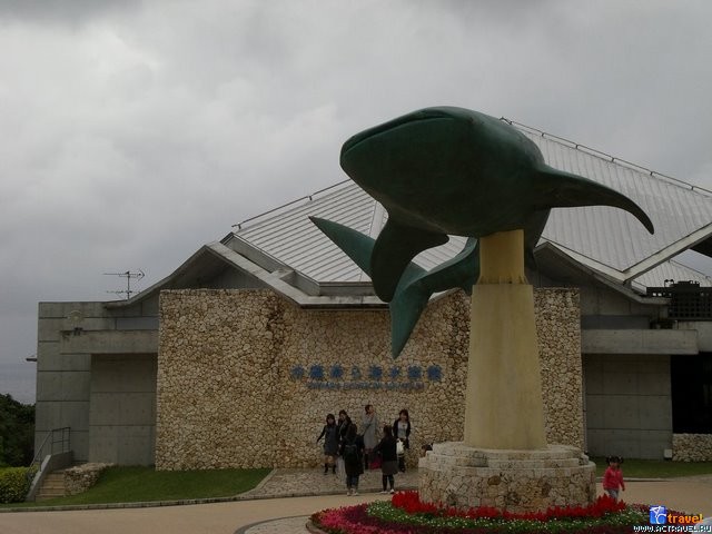   . , , Okinawa Churaumi Aquarium