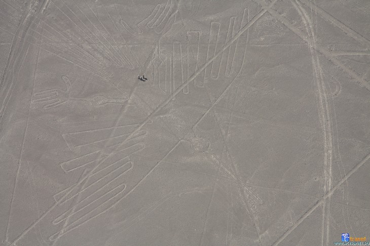 Тур в Перу. Изображение кондора в долине Наска. Масштаб рисунка можно оценить по фигуркам людей.