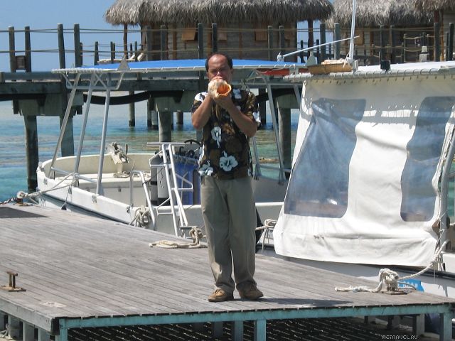 При подъезде к острову туристов приветствует трубый звук полинезийской раковины