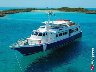 Дайверская яхта Bahamas Aggressor
