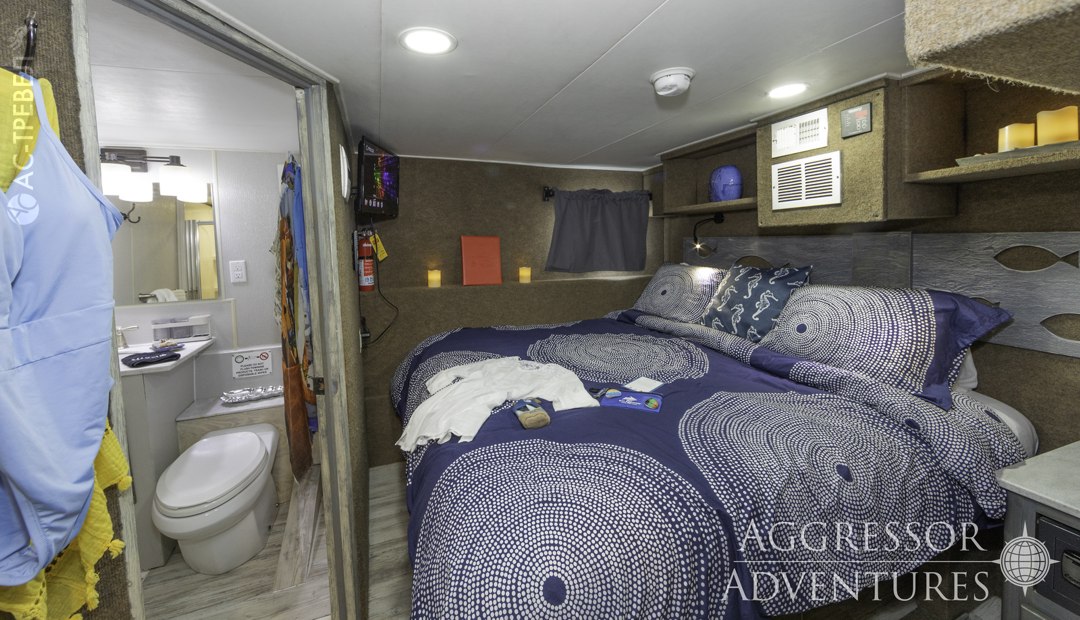     Bahamas Aggressor II