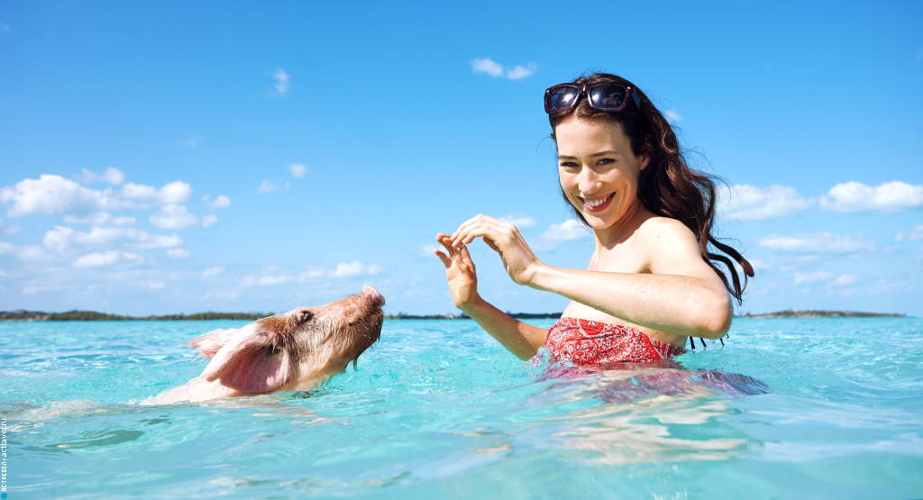 Плавание со свиньями на Пиг-Бич