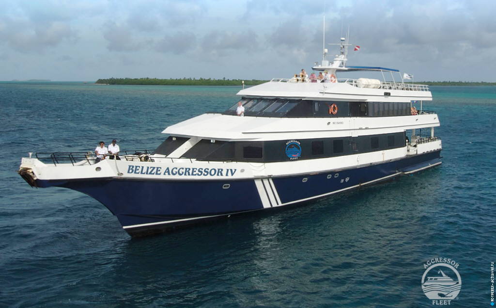 Дайверское сафарийное судно Belize Aggressor IV