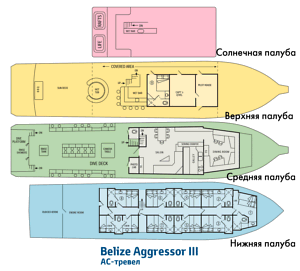 Схема палуб судна Belize Aggressor III