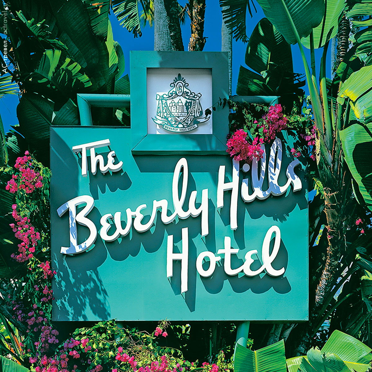 Отель The Beverly Hills