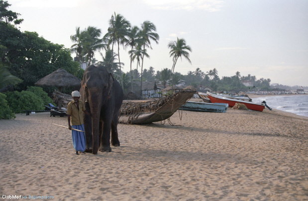 Пляж Берувела, Шри-Ланка