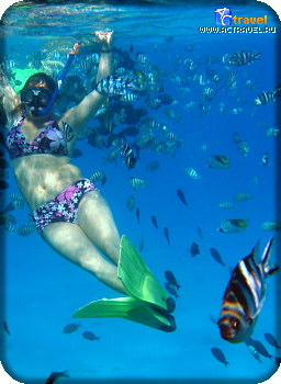 ���������� � ������� Club Med Bora Bora (����������� ���������)