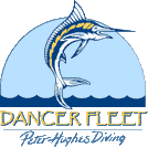 Дайв-флотилия Dancer Fleet