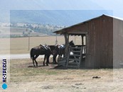 И какое же путешествие по Кавказу может обойтись без джигитовки! За отдельную плату новичкам покажут, что такое лошадь, с какой стороны на нее садиться, где у нее руль и педаль газа.  Отдых в Домбае летом