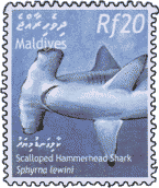 Акула-молот на почтовой марке Мальдив