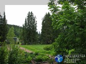 Сам Густав Винтер увлекся садово-парковым искусством и устроил вокруг виллы дендропарк с редкими для Карелии видами деревьев и кустарников. Путешествие по Карелии.