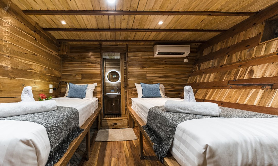   Deluxe   Komodo Aggressor