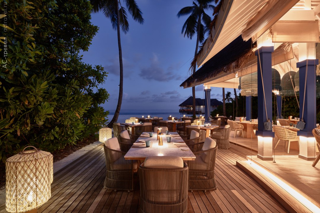  Arabian Gril   Finolhu Baa