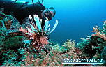 North Sulawesi Aggressor