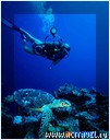 ����-������ �� ���������, ����-��� Ocean Dancer