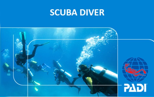  PADI Scuba Diver