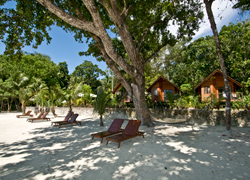 Отель Dolphin Bay Resort