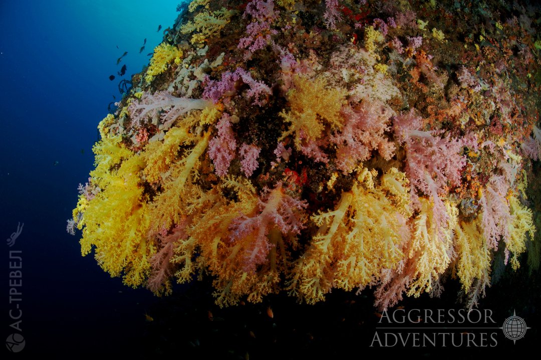    Philippines Aggressor II  