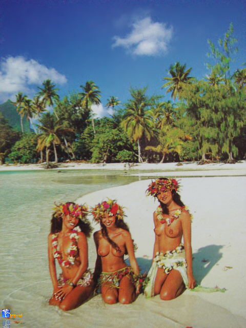 http://actravel.ru/img/polynesian_nude_girls.jpg