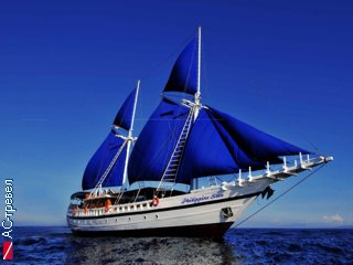 Дайверская яхта Philippine Siren