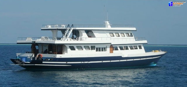 Дайверская яхта Sting Ray, Мальдивы